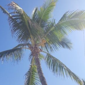 Meet your Posher, Jorge